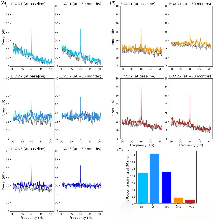 40Hz Audiovisual Stimulation May Slow Cognitive Decline in a Subset of Alzheimer's Patients - ZenWave Precision 40Hz