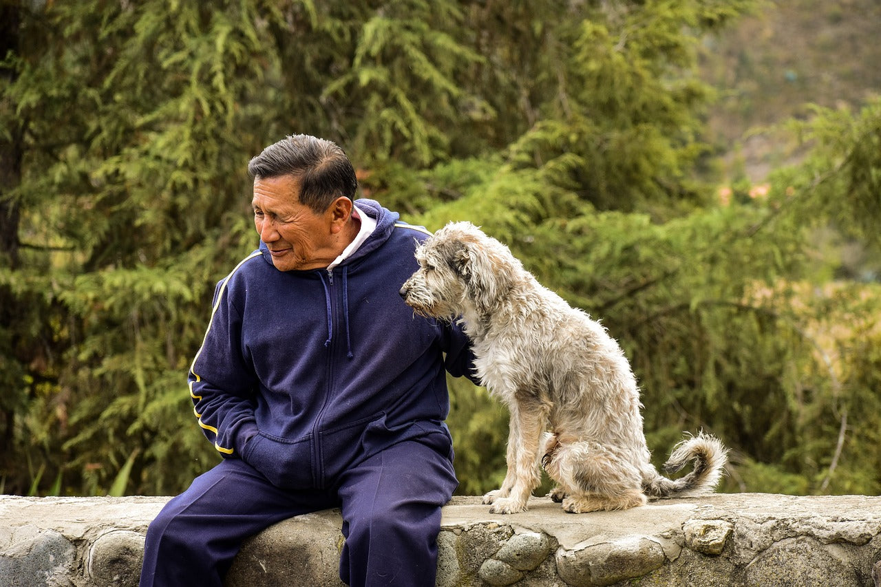 Man and his dog sitting on the side of the road