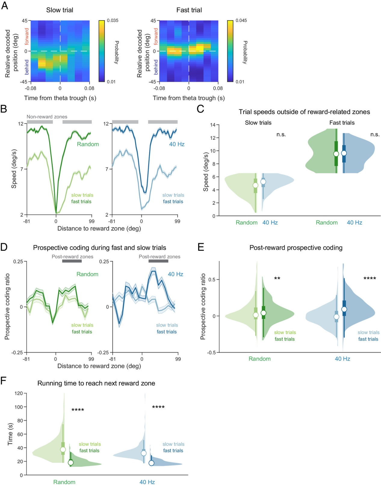 How Benadryl Affects the Aging Brain?