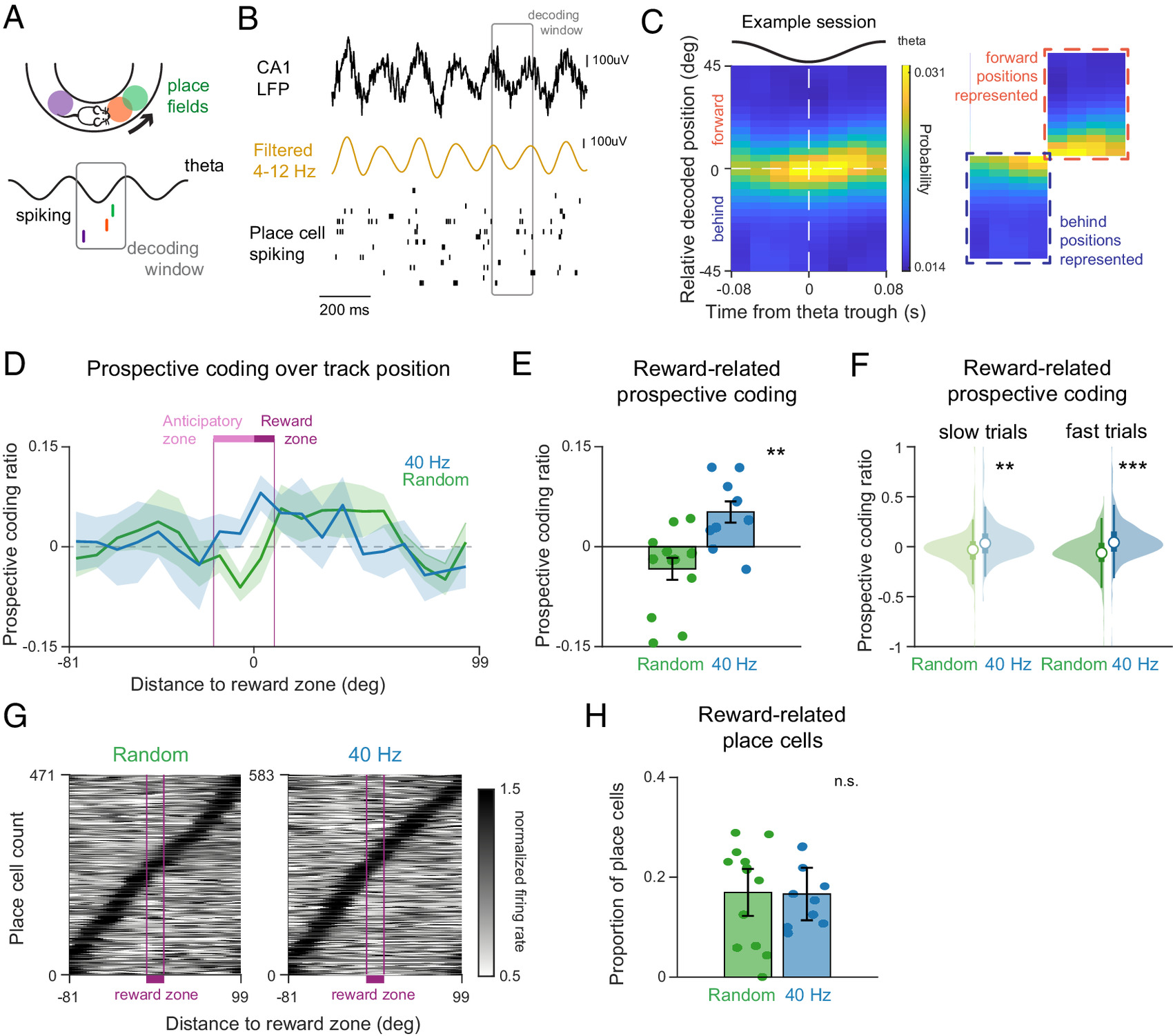 How Benadryl Affects the Aging Brain?