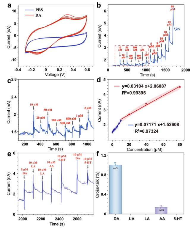 How Benadryl Affects the Aging Brain? How Benadryl Affects the Aging Brain?