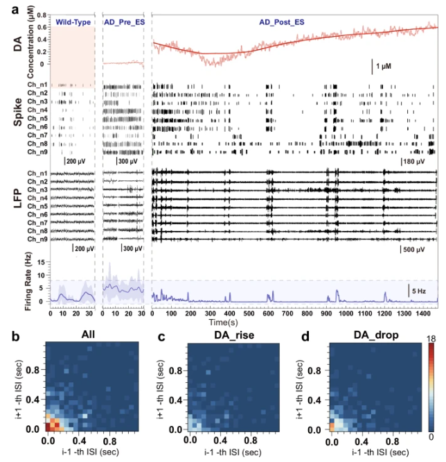 How Benadryl Affects the Aging Brain? How Benadryl Affects the Aging Brain?