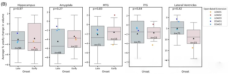 How Benadryl Affects the Aging Brain?