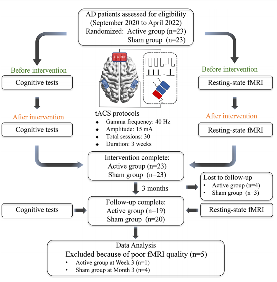 How Benadryl Affects the Aging Brain?