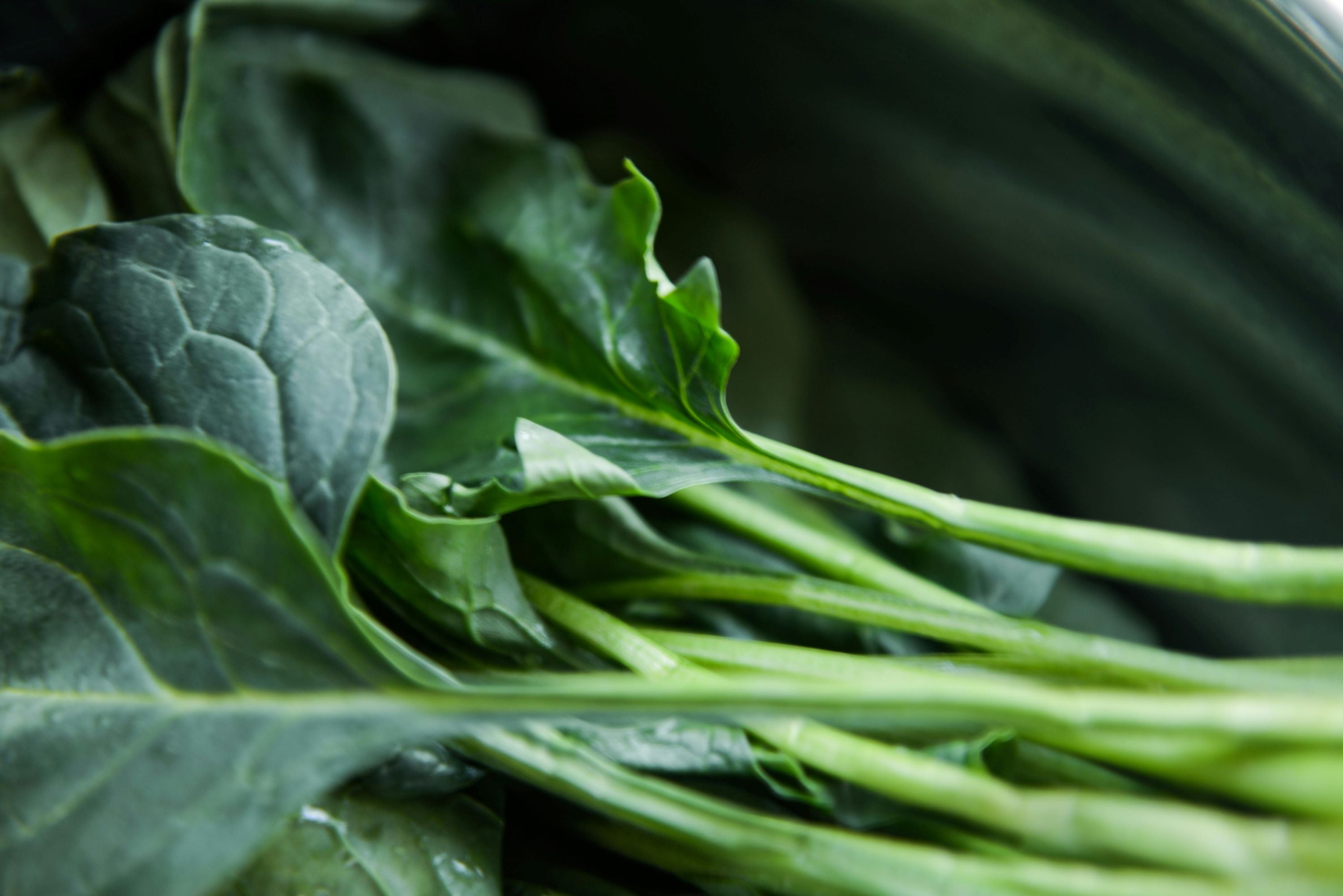 Foods to Improve Alzheimer's Disease-Leafy Greens