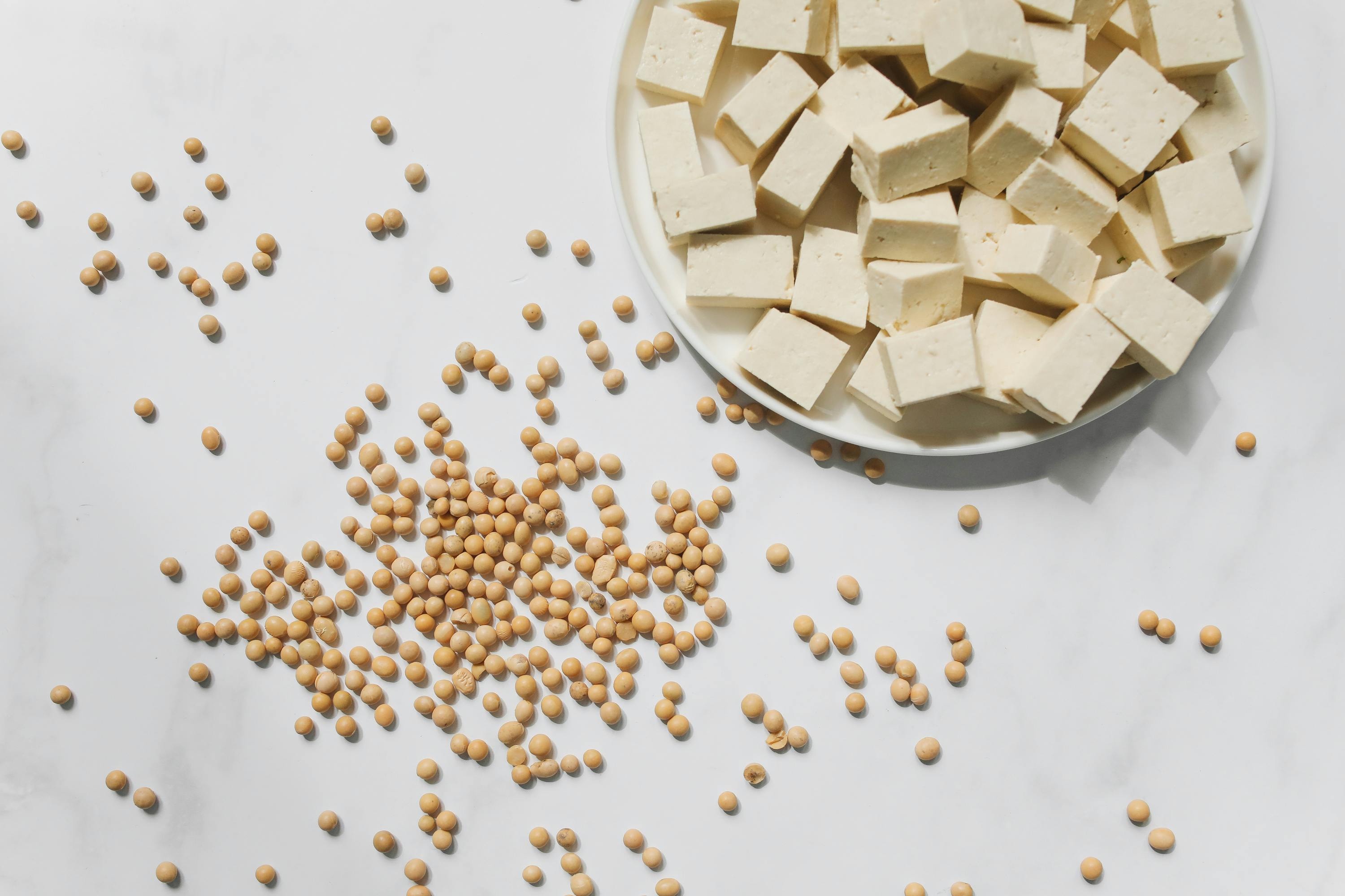 Foods to Improve Alzheimer's Disease-Beans