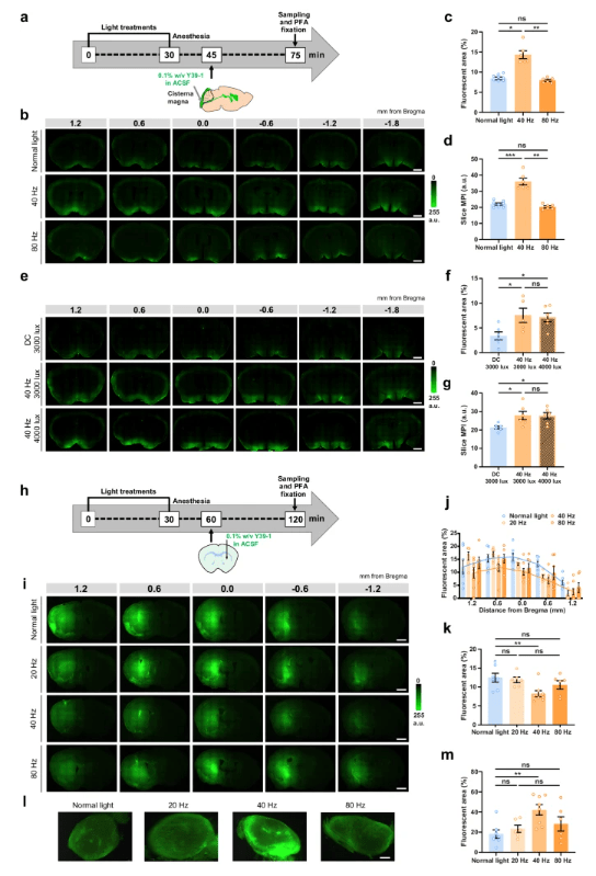 Breakthrough in 40Hz 