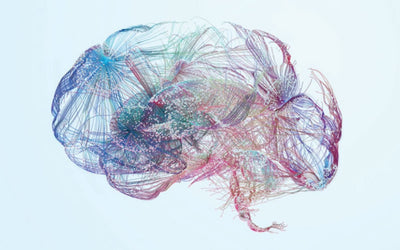 Can Listening to Sound and Watching Light Put the Brakes on Alzheimer's Progression?