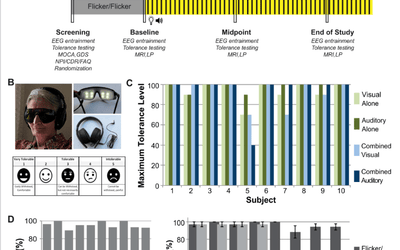 How Does Combined Audiovisual Flicker Stimulation at Gamma Frequency More Effectively Modulate Alzheimer's Disease?