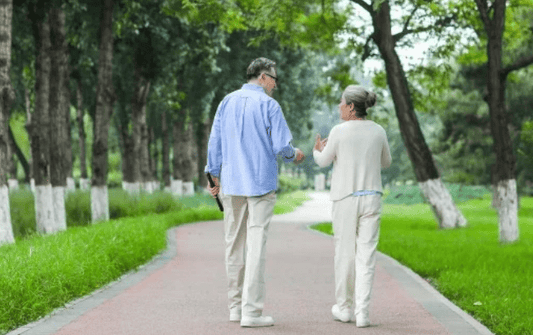 Mediterranean Diet, Exercise, and Sleep: Which Preventive Measures Actually Reduce Alzheimer's Risk? - ZenWave Precision 40Hz