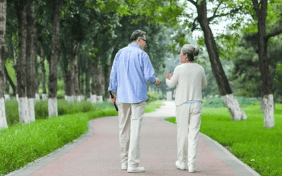 Mediterranean Diet, Exercise, and Sleep: Which Preventive Measures Actually Reduce Alzheimer's Risk?