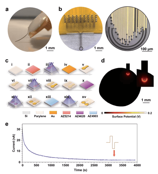 New Breakthrough in Flexible Neural Chips: 40 Hz Stimulation Synchronously Regulates Dopamine and Cognition in Alzheimer's Mice - ZenWave Precision 40Hz