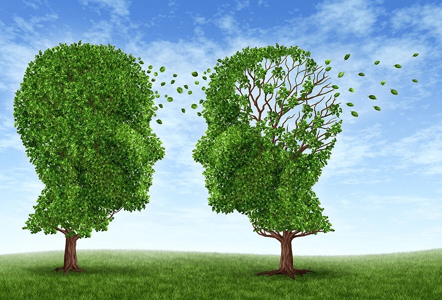 The Cognitive Crisis of Aging: Early Warning Signs and Prevention Strategies for Alzheimer's Disease - ZenWave Precision 40Hz