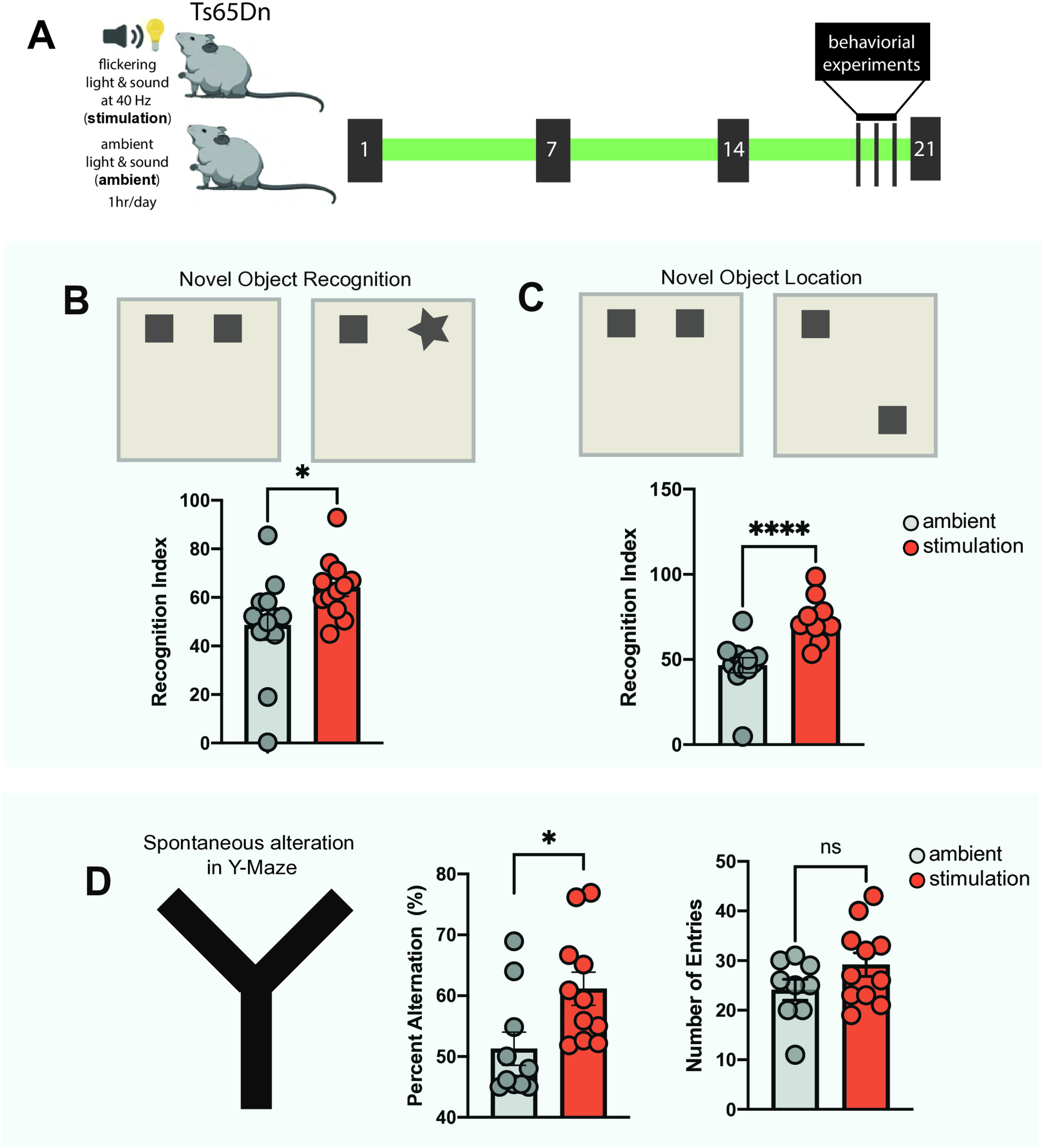 Vitamin D Deficiency Doubles Dementia Risk: How to Supplement Effectively
